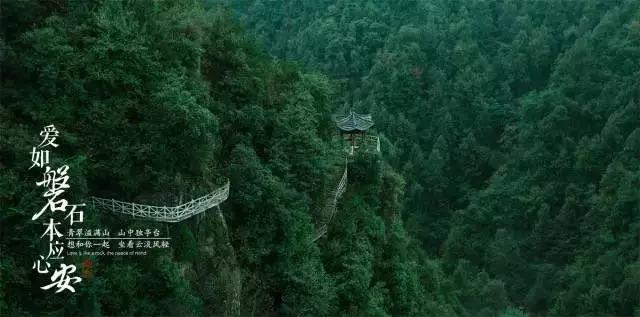 德国精英商学院